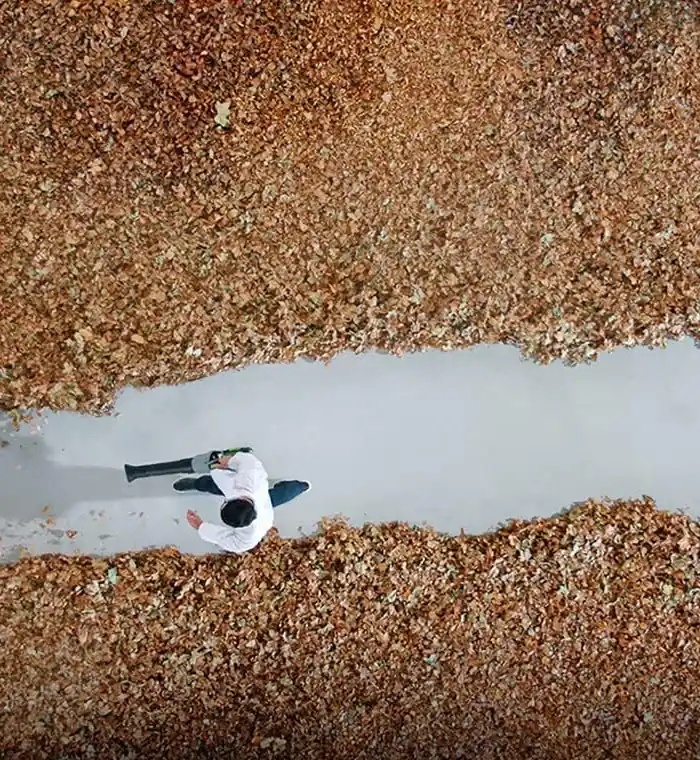 Aerial view of a person clearing a path through fallen leaves with the EGO LB6703 cordless leaf blower